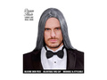 Peruca gri Victor Dream Hair
