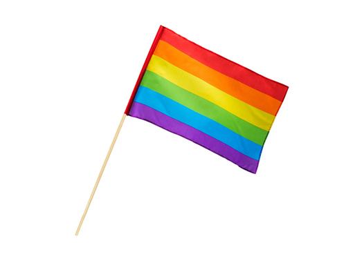 Steag curcubeu - 30 x 45 cm - 1 buc.