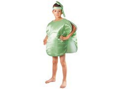 Costum de varză - legume