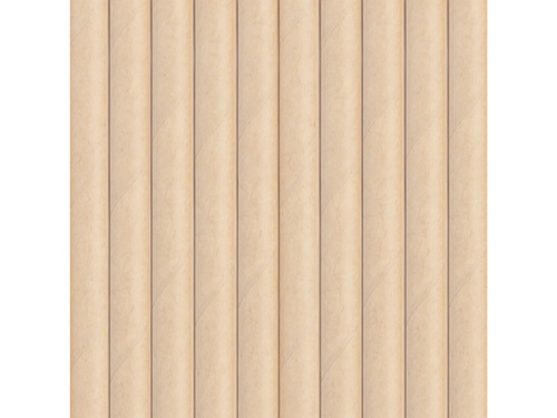 Paie tub Kraft - 10 buc.