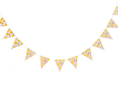 Banner Lemonade - 250 cm - 1 buc.